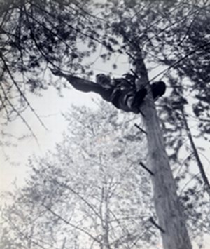bogdanova
