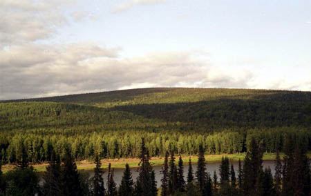 img594